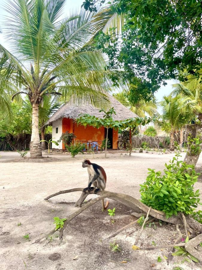 Dreams Of Mapacha Bed & Breakfast Michamvi Kae Exterior photo