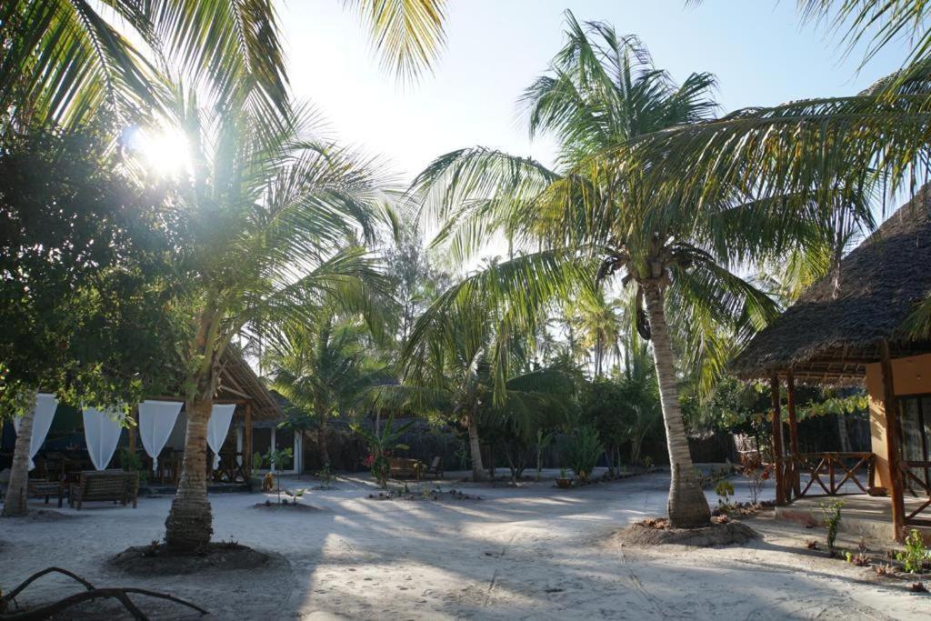 Dreams Of Mapacha Bed & Breakfast Michamvi Kae Exterior photo