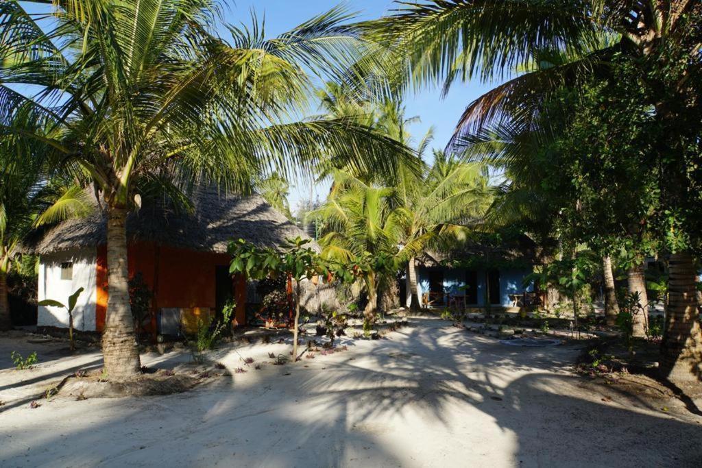 Dreams Of Mapacha Bed & Breakfast Michamvi Kae Exterior photo